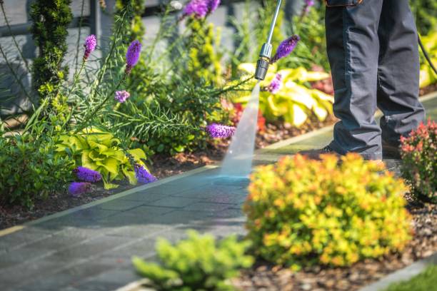 Best Dumpster Area Cleaning  in Copiague, NY